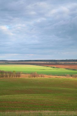 Yeşil tarlaların, ekilebilir arazilerin ve yağmurdan sonra bulutlu gökyüzünün güzel baharı.