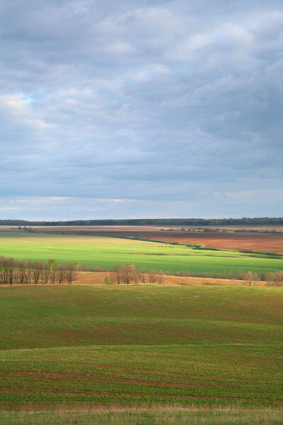 красивый весенний пейзаж зеленых полей и пахотных земель и облачное небо после дождя