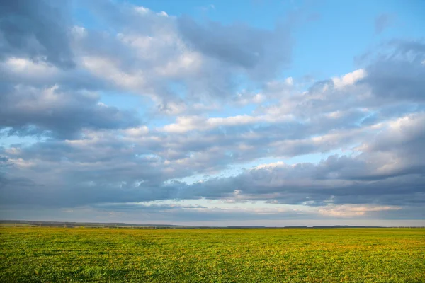 beautiful spring landscape of green fields and arable land and cloudy sky after the rain