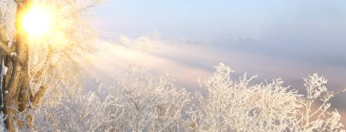 Kış manzarası ağaçları ve çalılar nehirdeki buzlar ve su buharı.