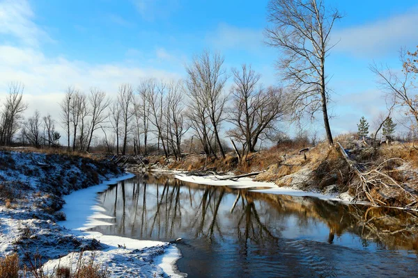 初冬の晴れた日には雪の海岸に葉のない凍る川やオークの木の絵のような風景 — ストック写真