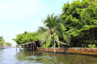 BANGKOK, THAILAND - 15 Aralık 2014: Chao Phraya Nehri üzerinde tekne gezisi 15 Aralık 2014, Bangkok, Tayland