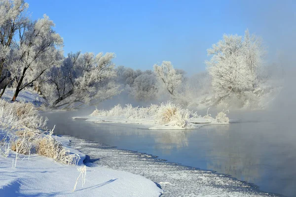 Niebla Invierno Paisaje Helada Mañana Sobre Río Los Árboles Escarcha — Foto de Stock