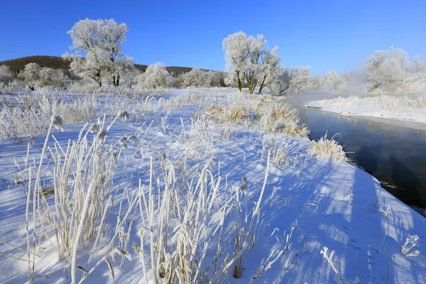 Foggy Winter Landscape Frosty Morning River Trees Hoarfrost Shores — Stock Photo, Image