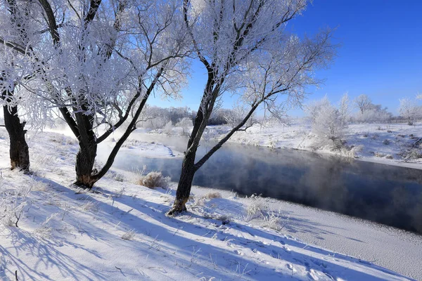 Туманный Зимний Пейзаж Морозное Утро Над Рекой Деревья Иней Берегу — стоковое фото