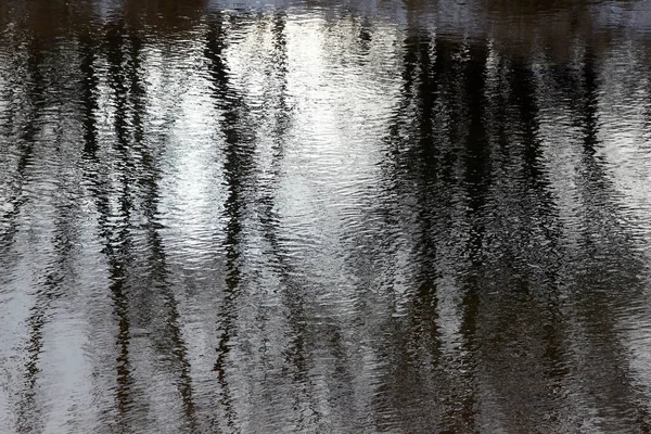 Beau Paysage Hivernal Reflet Des Arbres Dans Eau Calme Rivière — Photo
