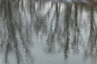 Güzel kış manzarası, bulutlu bir günde sudaki ağaçların sakin nehrin yansıması.