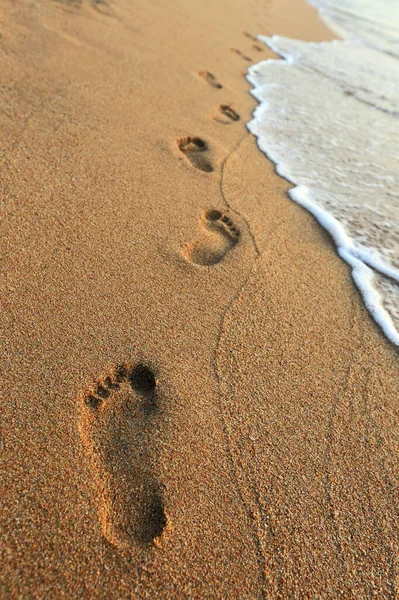 人类脚印在海滨湿沙中的特写 — 图库照片