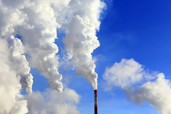 Gros Plan Isolé Fumée Blanche Cheminée Plante Contre Ciel Bleu — Photo