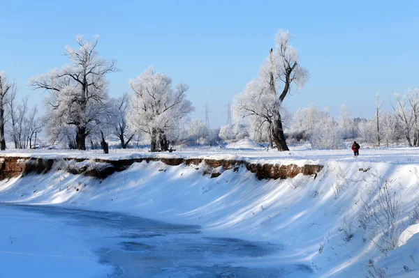 Paesaggio Invernale Soleggiato Mattina Gelida Sul Fiume Cielo Blu Alberi — Foto Stock