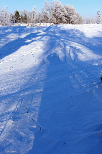 Macro Textura Sombras Nieve — Foto de Stock