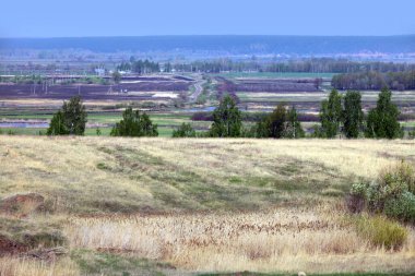 Güneşli bir günde ufukta çayırların ve ormanların olduğu bahar manzarası