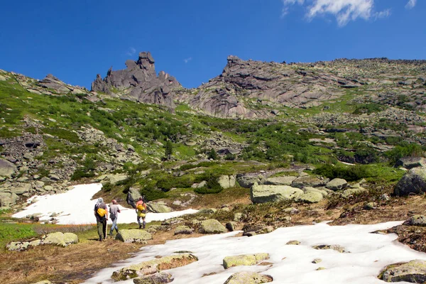 Summer Landscape Snow Flowers Foot Mountain Turtle Ergaki Western Sayan — Stock Photo, Image