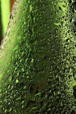 yeşil cam atölyesine makro desenli su damlaları