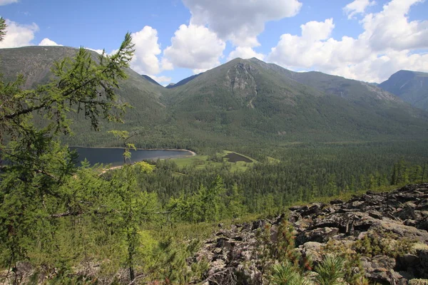 Zomer Landschap Van Lake Frolikha Baikal Bergen Dennenbos Blauwe Lucht — Stockfoto