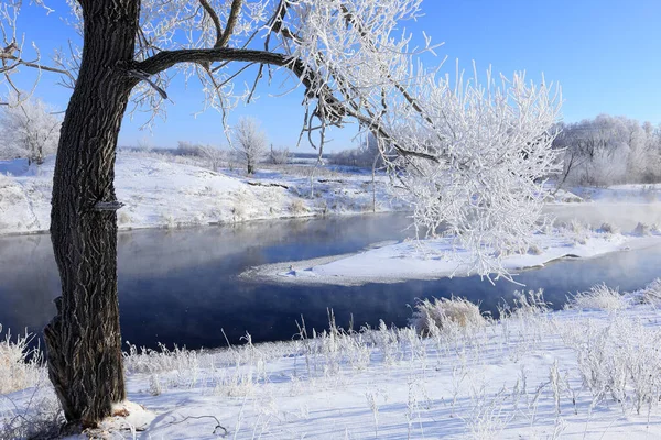 Neblige Winterlandschaft Frostiger Morgen Über Dem Fluss Und Bäume Raureif — Stockfoto