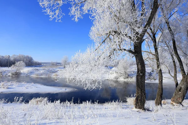 Neblige Winterlandschaft Frostiger Morgen Über Dem Fluss Und Bäume Raureif — Stockfoto