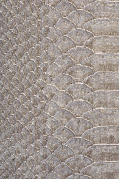Textura Macro Estúdio Pele Cobra Cinza — Fotografia de Stock