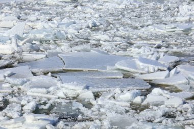 Baharda güneşli bir günde, nehre yakın yüzen buzlar sürükleniyor. 