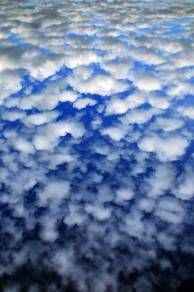 晴れた日には青い空を背景に美しい積雲が — ストック写真