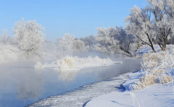 Nebuloso Inverno Paisagem Manhã Gelada Sobre Rio Árvores Hoarfrost Nas — Fotografia de Stock