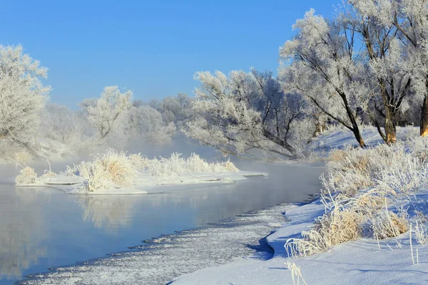 Nebuloso Inverno Paisagem Manhã Gelada Sobre Rio Árvores Hoarfrost Nas — Fotografia de Stock