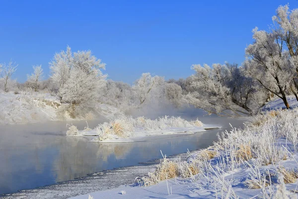 Nebbioso Paesaggio Invernale Mattinata Gelida Sul Fiume Alberi Hoarfrost Sulle — Foto Stock