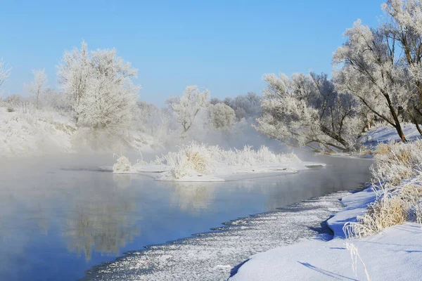 Paysage Hivernal Brumeux Matin Givré Sur Rivière Les Arbres Dans — Photo