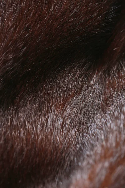 Close Texture Natural Dark Mink Fur — Stock Photo, Image