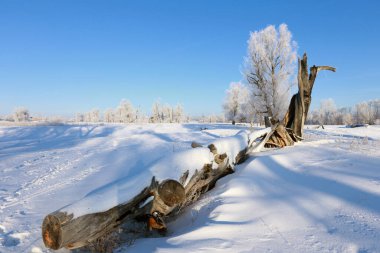 Kış manzarası. Güneşli ve soğuk bir sabahta karda büyük bir pürüz.