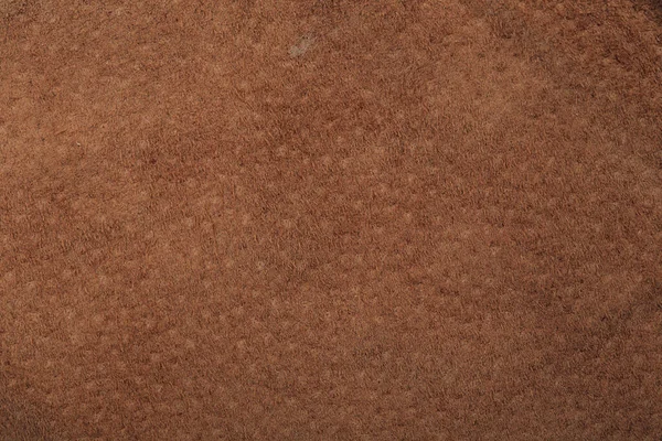 Macro Texture Fragment Brown Leather Studio — Stock Photo, Image