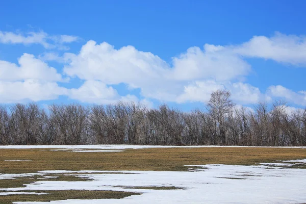 Vår Landskap Snö Smälter Fältet Och Vita Moln Blå Himmel — Stockfoto