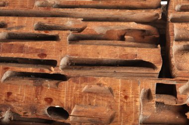 Beyaz stüdyo arka planında tahta karıncaları kesen yakın çekim bloğu.