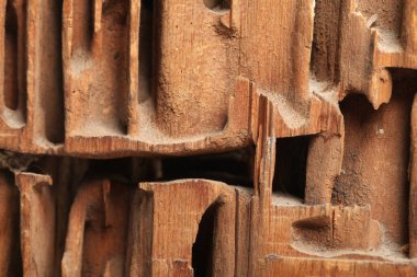 Beyaz stüdyo arka planında tahta karıncaları kesen yakın çekim bloğu.