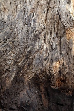 Eski bir ağaç stüdyosunun izole edilmiş dokusu.
