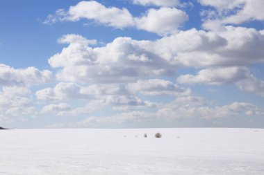 Baharın başlarında, kar kaplı tarlanın üzerindeki mavi gökyüzünde muhteşem beyaz bulutlar.