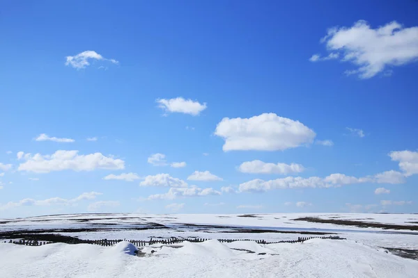 Vår Landskap Snö Smälter Fältet Och Vita Moln Blå Himmel — Stockfoto