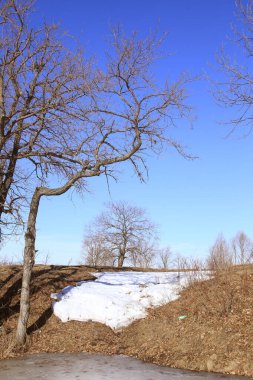 Baharın erken saatlerinde güneşli bir günde nehir üzerindeki buzlar sürükleniyor. 