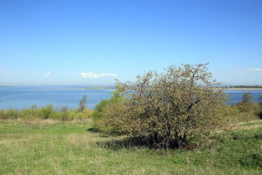 bahar manzarası geniş ve sakin nehir sabahın erken saatlerinde, tepeden manzara