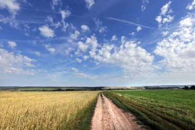 Güzel yaz manzarası güneşli bir günde mavi gökyüzünde beyaz bulutlar