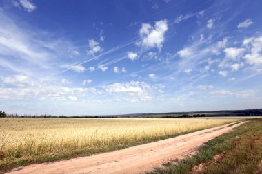 Güzel yaz manzarası güneşli bir günde mavi gökyüzünde beyaz bulutlar