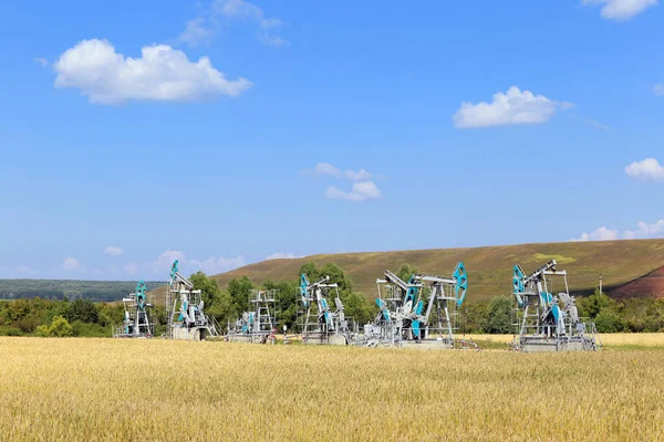 summer landscape oil pumps in a field on a clear sunny day