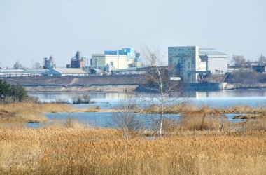 spring landscape of the river, the pines on the shore, dry grass and the city on the horizon