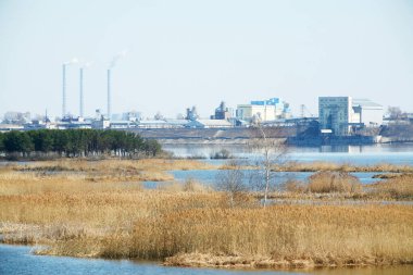 spring landscape of the river, the pines on the shore, dry grass and the city on the horizon
