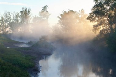 Yaz mevsiminde nehrin üzerinde sisli bir manzara sabahın erken saatlerinde gün doğumunda ve bir ağaç kıyısında.
