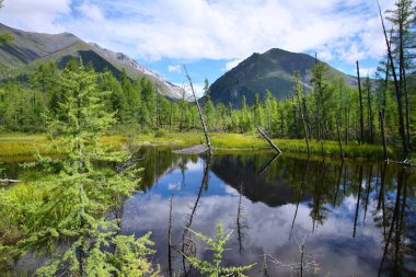 Güzel bir yaz nehri, uçurumlar, ormanlar ve mavi gökyüzünde harika bulutlar. 