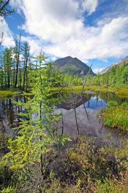 Güzel bir yaz nehri, uçurumlar, ormanlar ve mavi gökyüzünde harika bulutlar. 