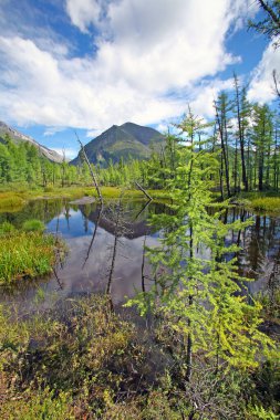 Güzel bir yaz nehri, uçurumlar, ormanlar ve mavi gökyüzünde harika bulutlar. 