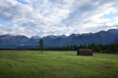 Güzel yaz dağ manzarası yeşil çayır, ormanlar ve mavi gökyüzünde harika bulutlar. 