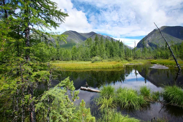 Hermoso Verano Montaña Paisaje Río Acantilados Bosques Nubes Maravillosas Cielo — Foto de Stock